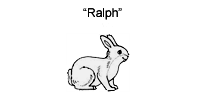 a rabbit stage