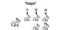an assignment of sometimes multiple rabbit stages to times